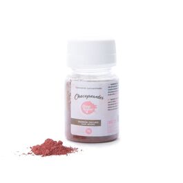 CORANTE EM P CHOCOPOWDER - MARROM CLARO 10 G